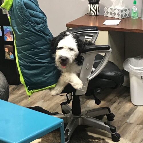 rosey1-royster-counseling